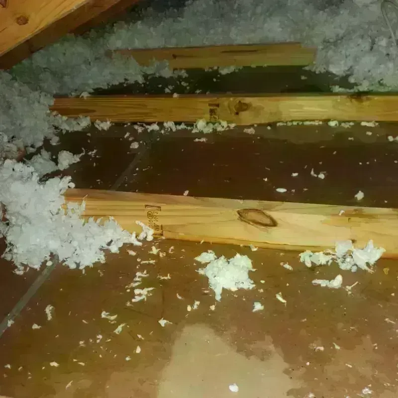 Attic Water Damage in East Dennis, MA